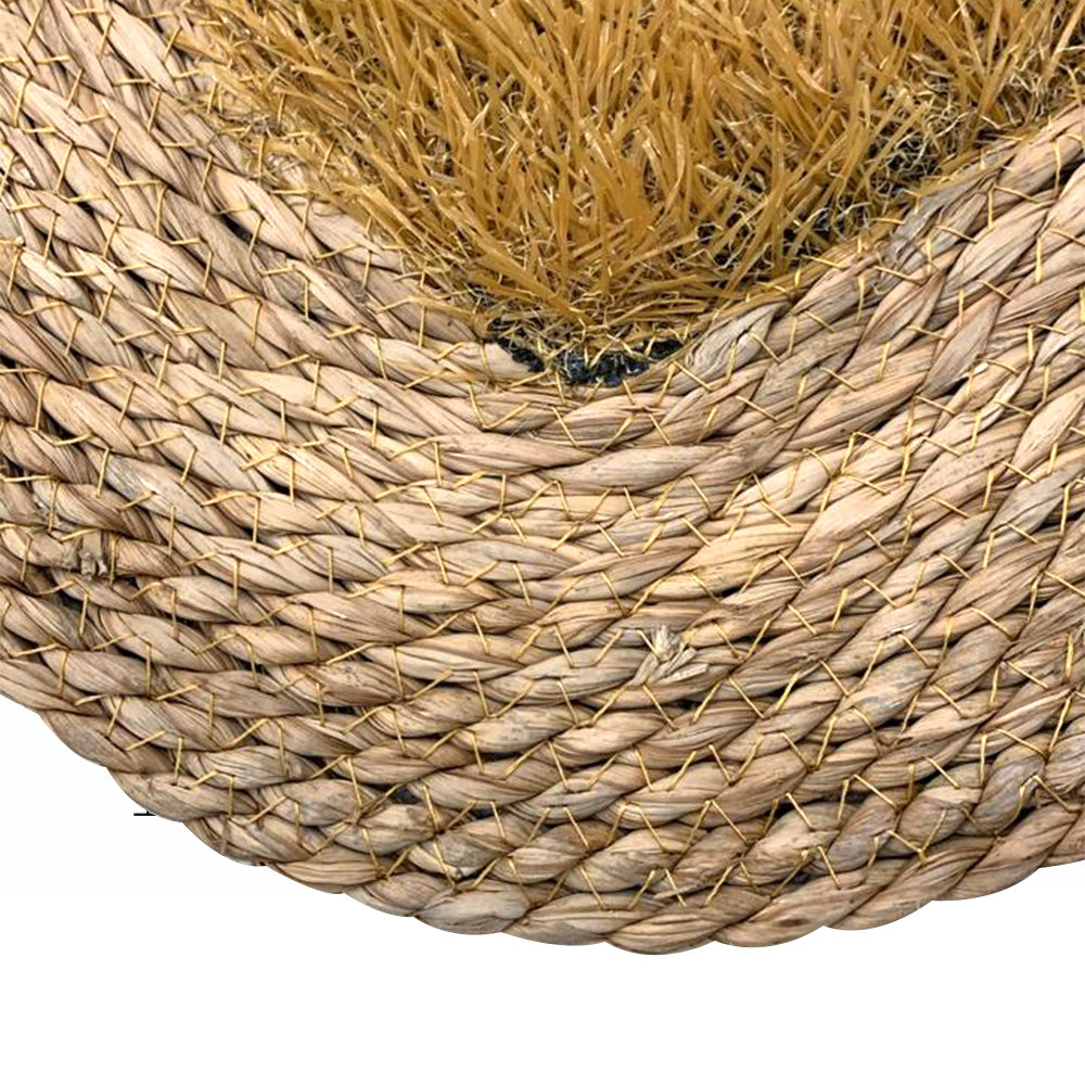 نص بديل للصورة