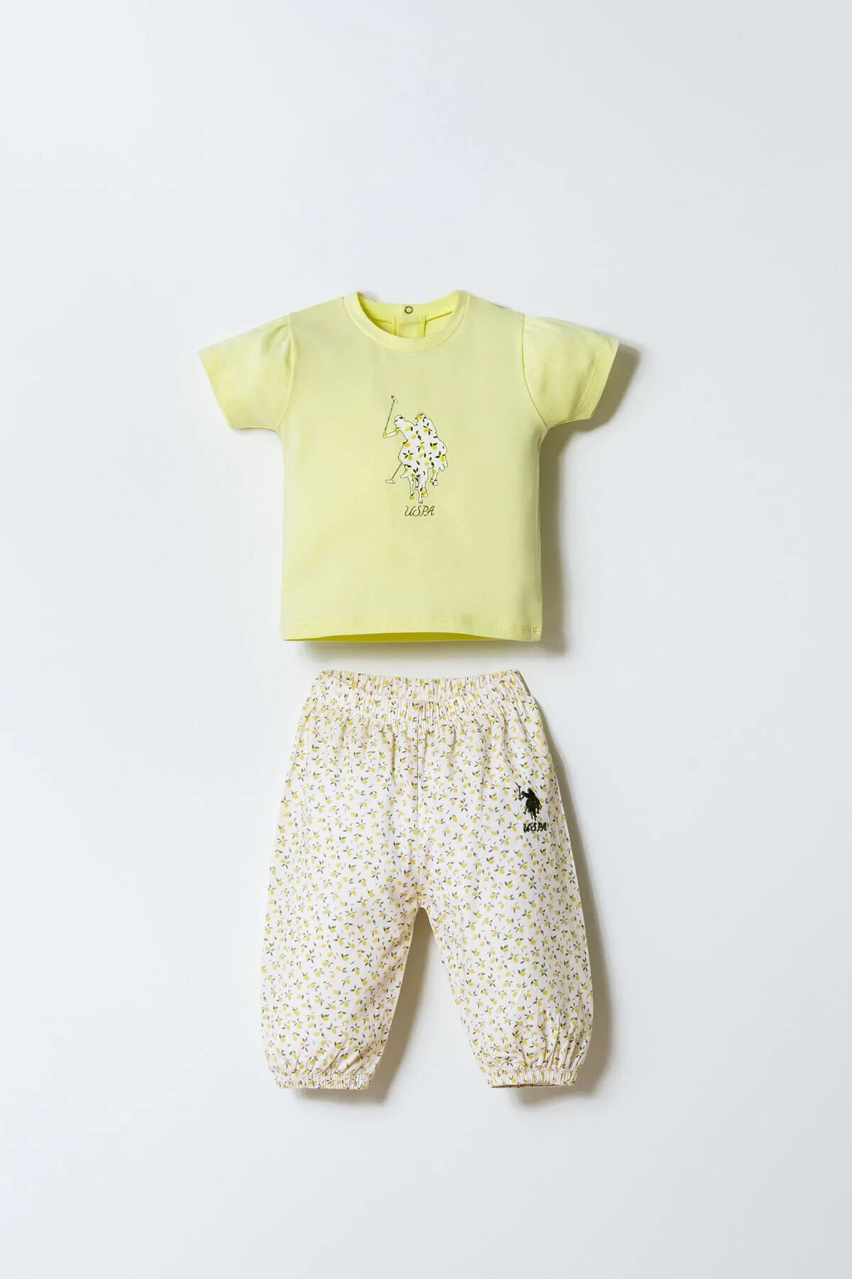 نص بديل للصورة