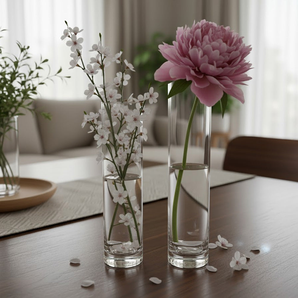 مزهرية زجاجية للنباتات