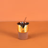 Gold كوب شليمونه BROWN SL