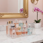 منظم قابل للفصل