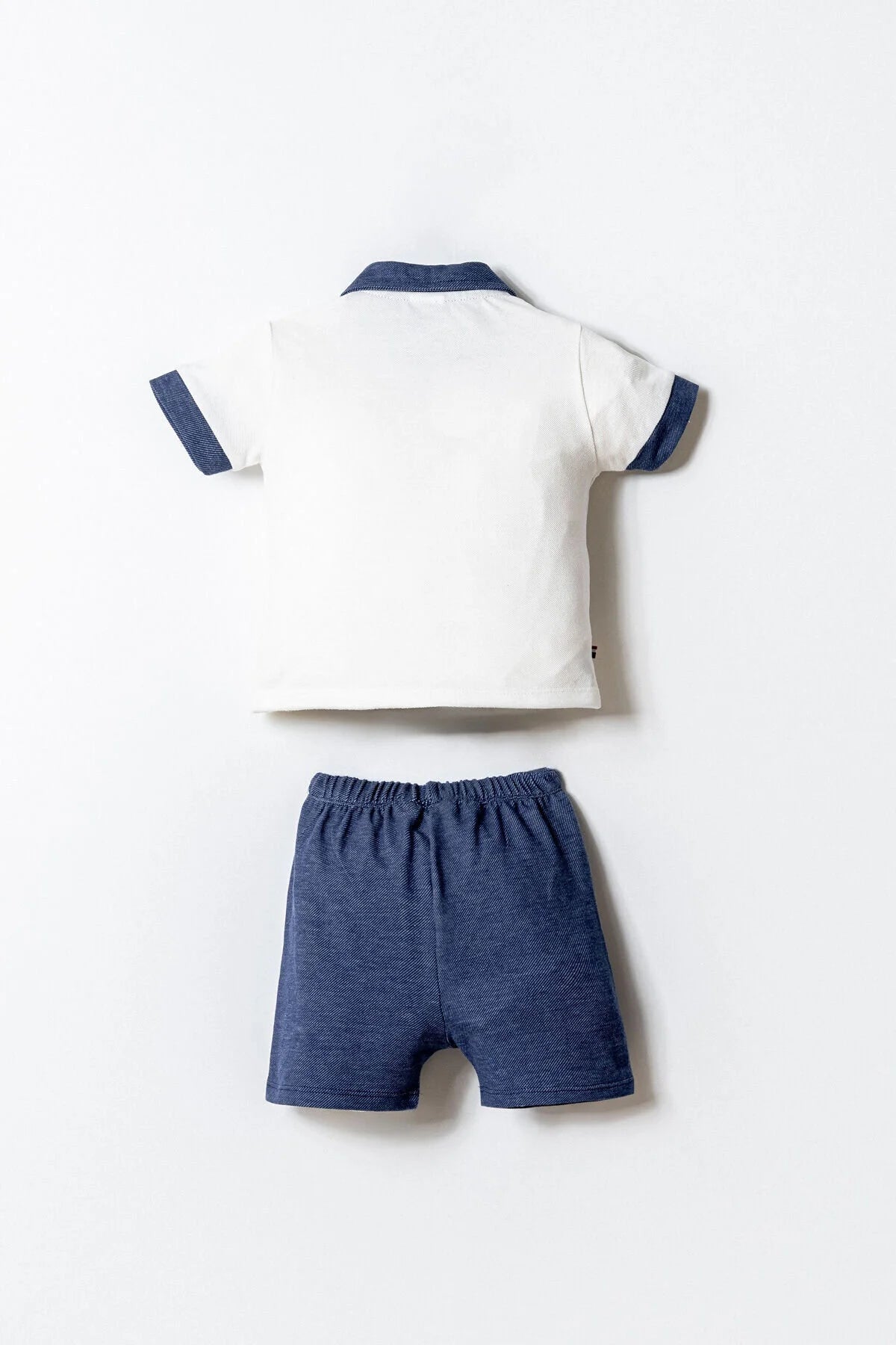 نص بديل للصورة