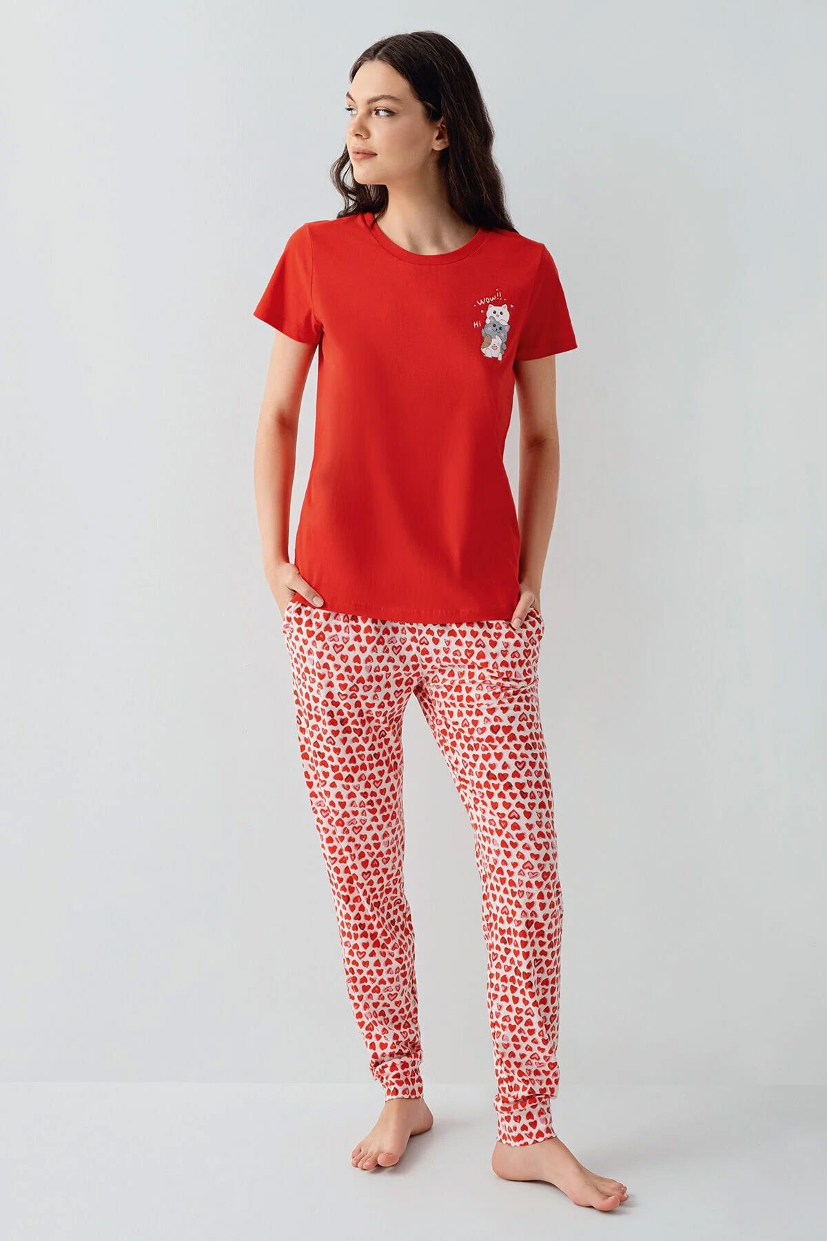 نص بديل للصورة