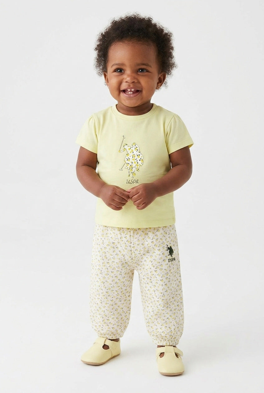 نص بديل للصورة