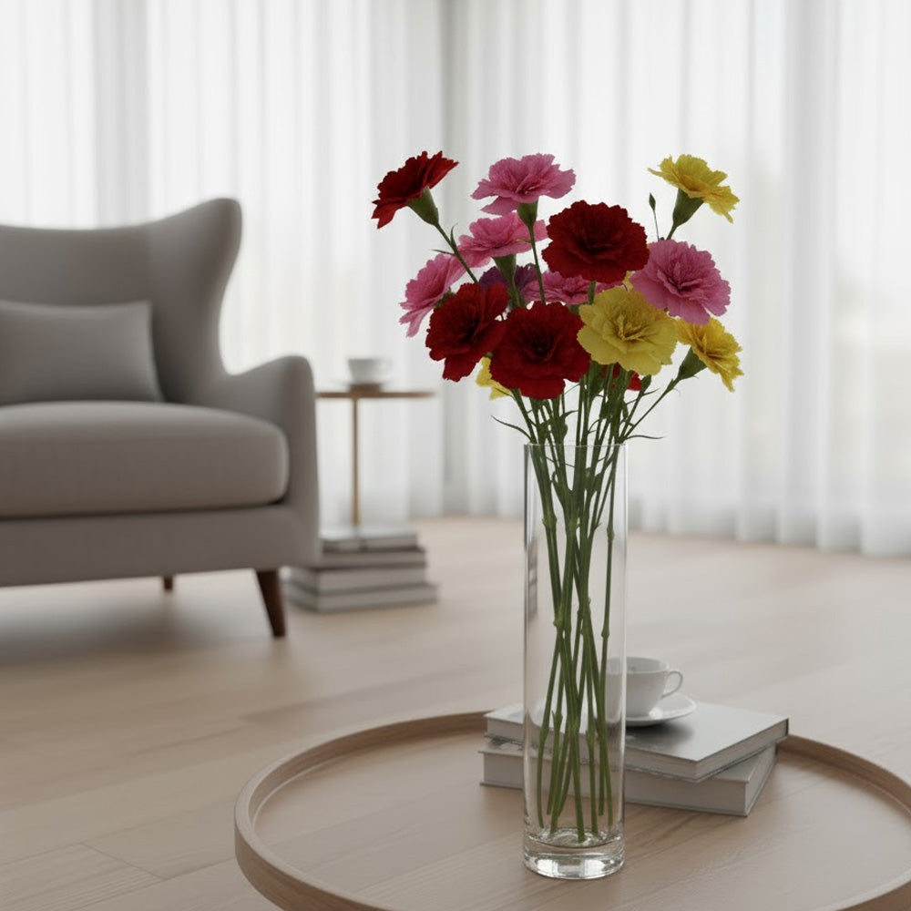 مزهرية زجاجية للنباتات