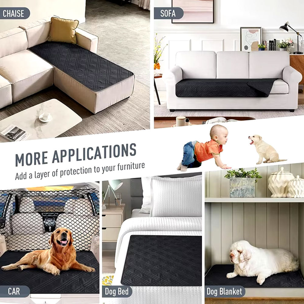 نص بديل للصورة