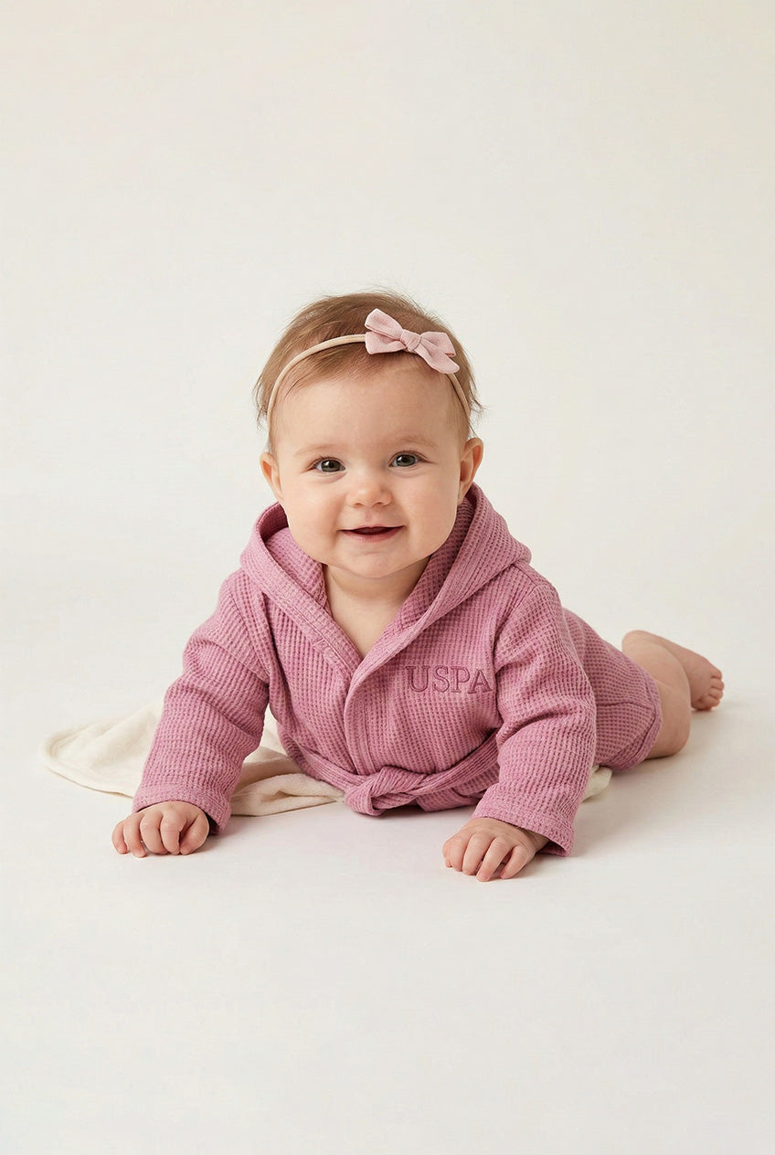 نص بديل للصورة