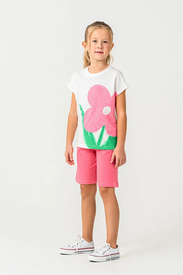 نص بديل للصورة