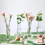 مزهرية زجاجية للنباتات