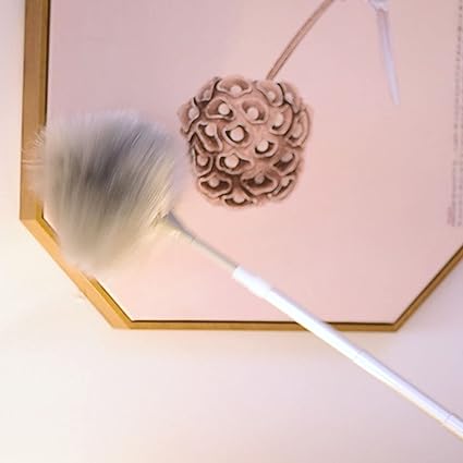 منفضة غبار كهربائية قابلة للتمديد