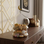 جرة زجاجية قمرية