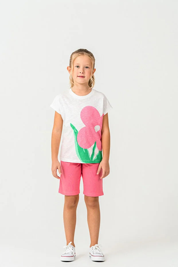 نص بديل للصورة