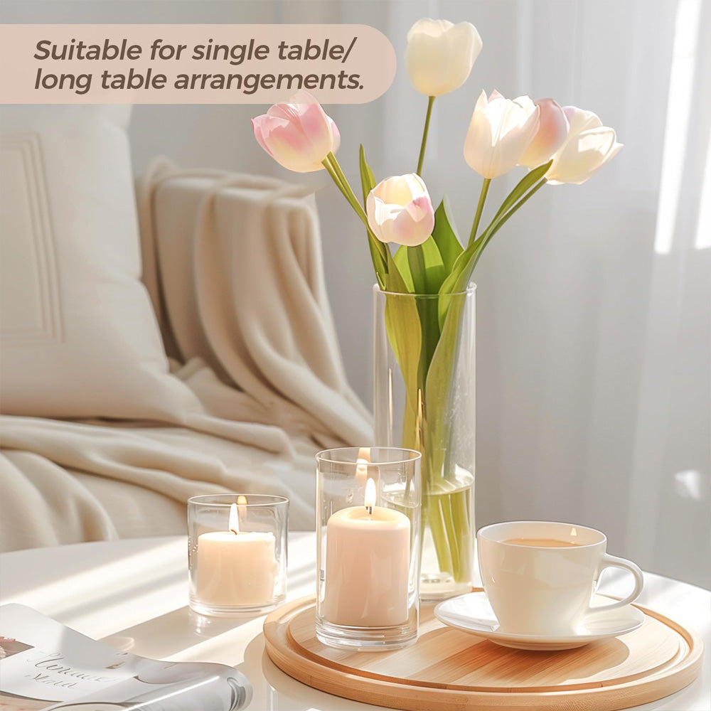 مزهرية زجاجية للنباتات