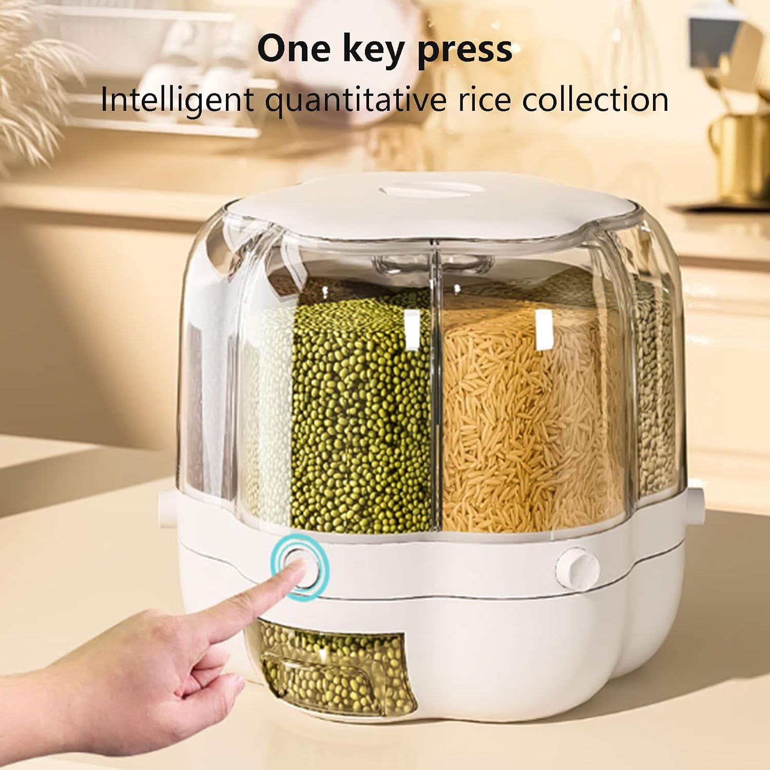 حافظة تخزين وتوزيع الحبوب بـ 6 شبكات