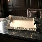 صينية تقديم معدنية