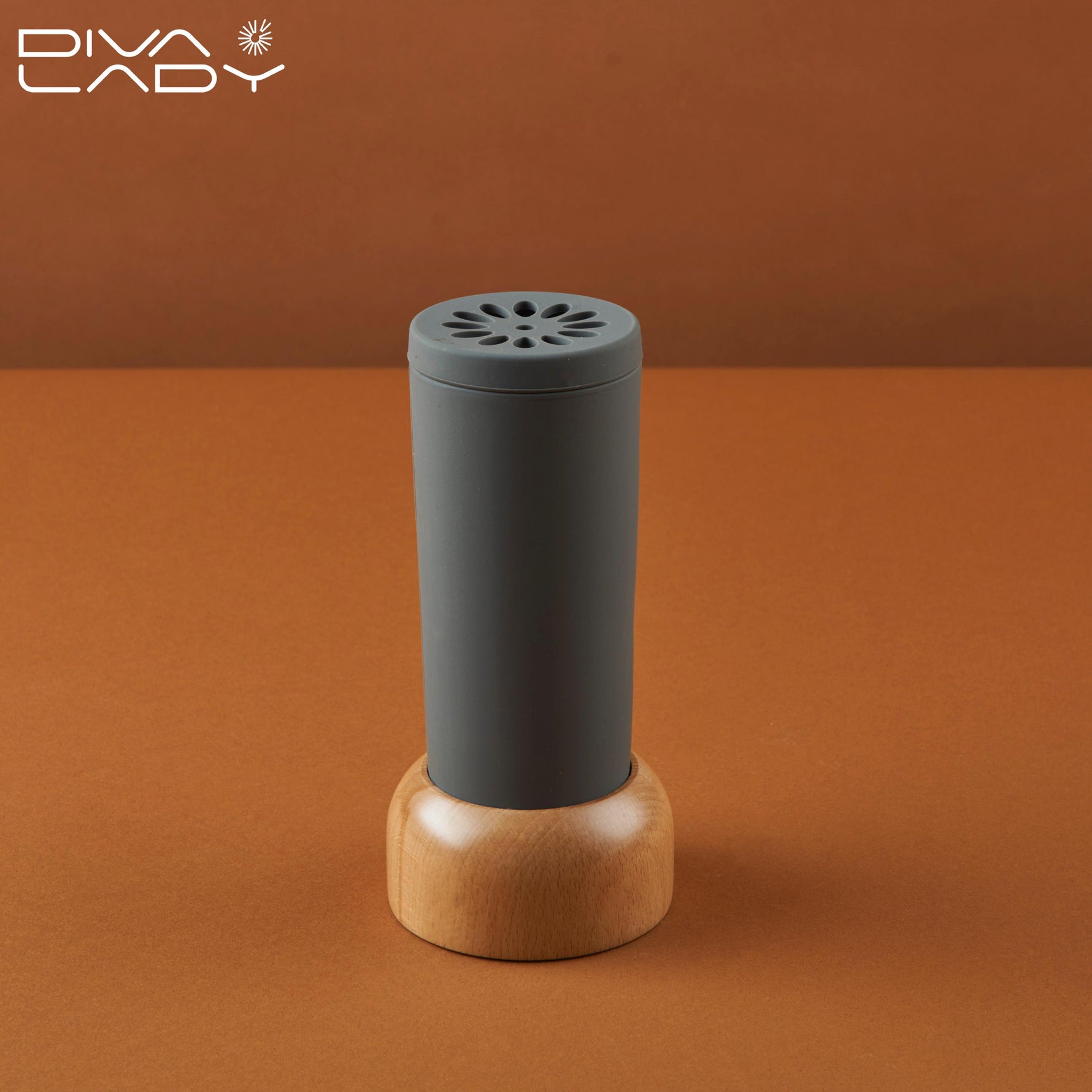 مبخر سليكون