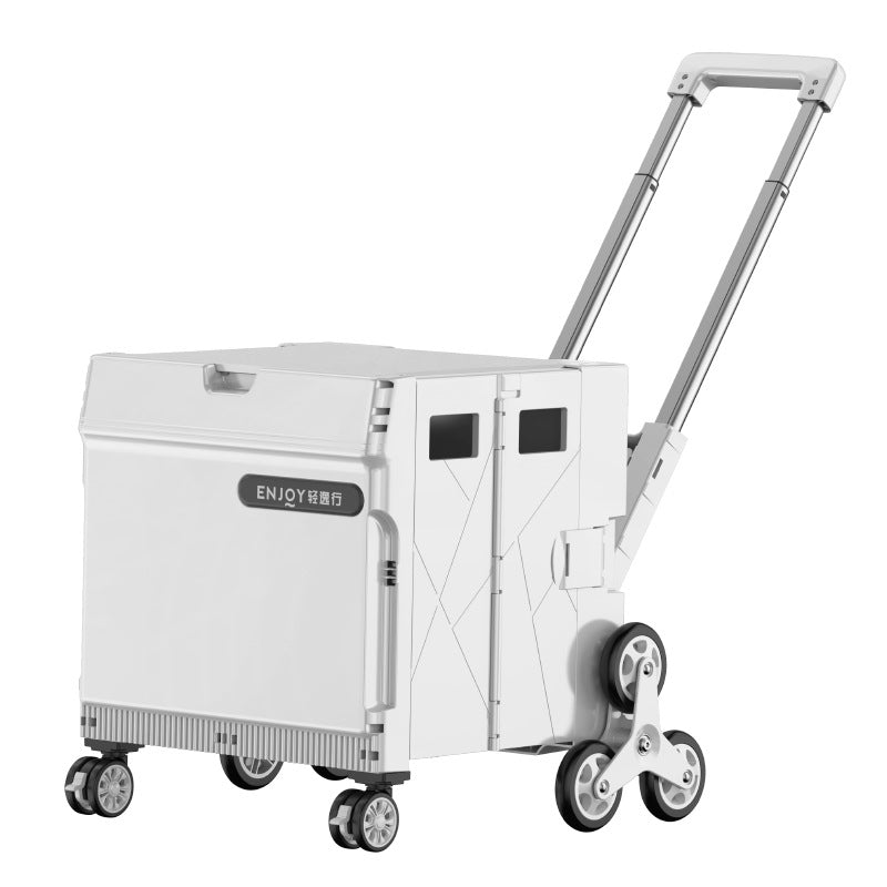 نص بديل للصورة