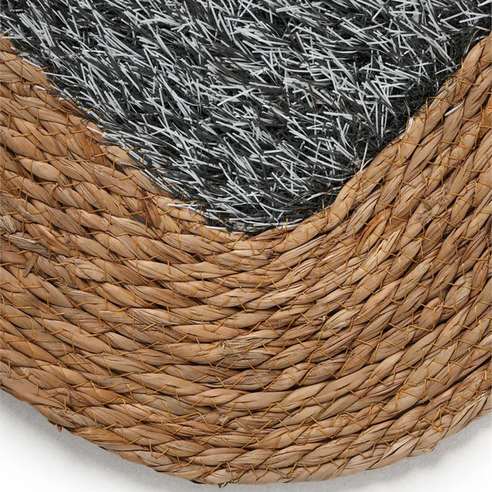 نص بديل للصورة