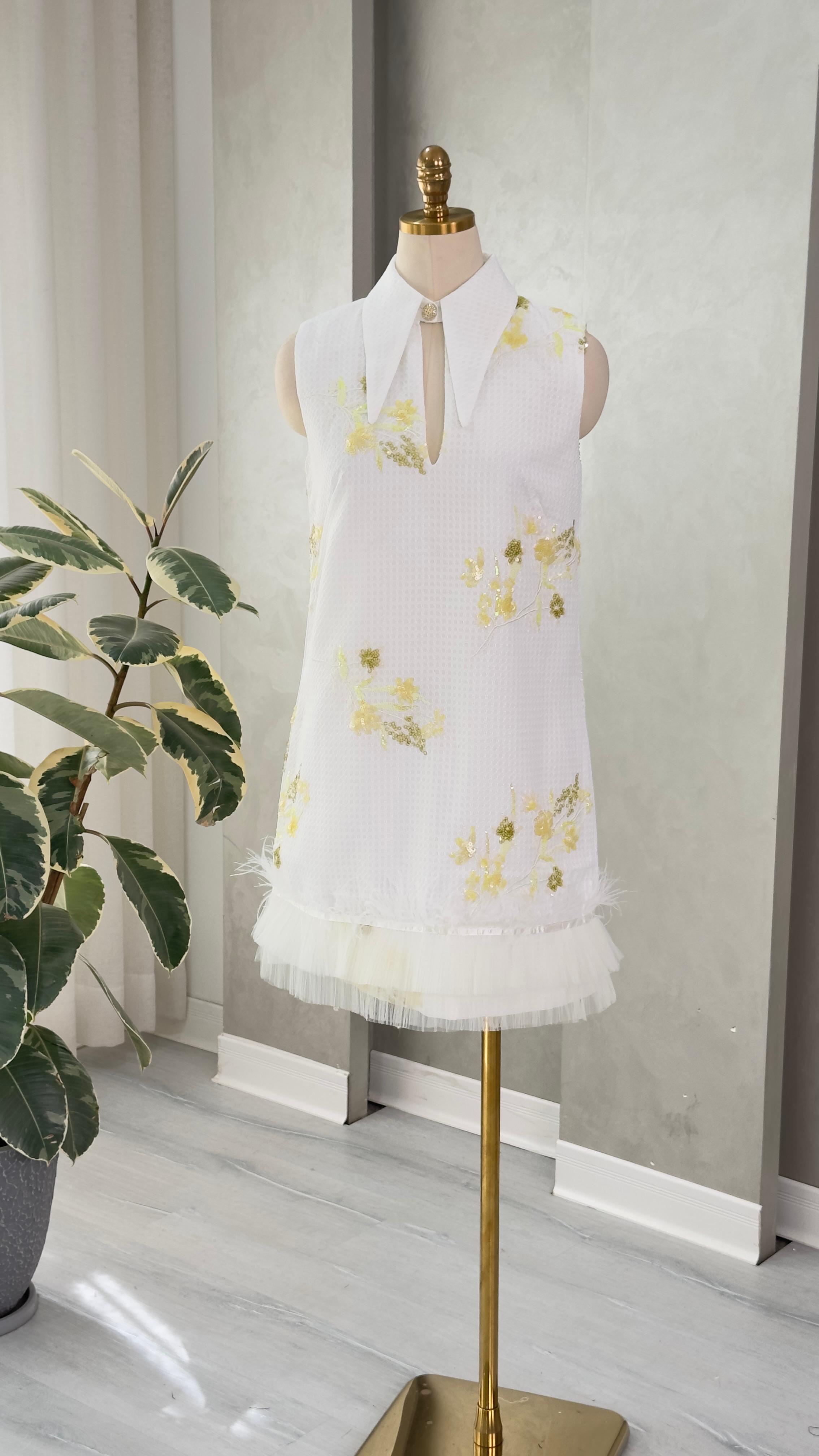 نص بديل للصورة