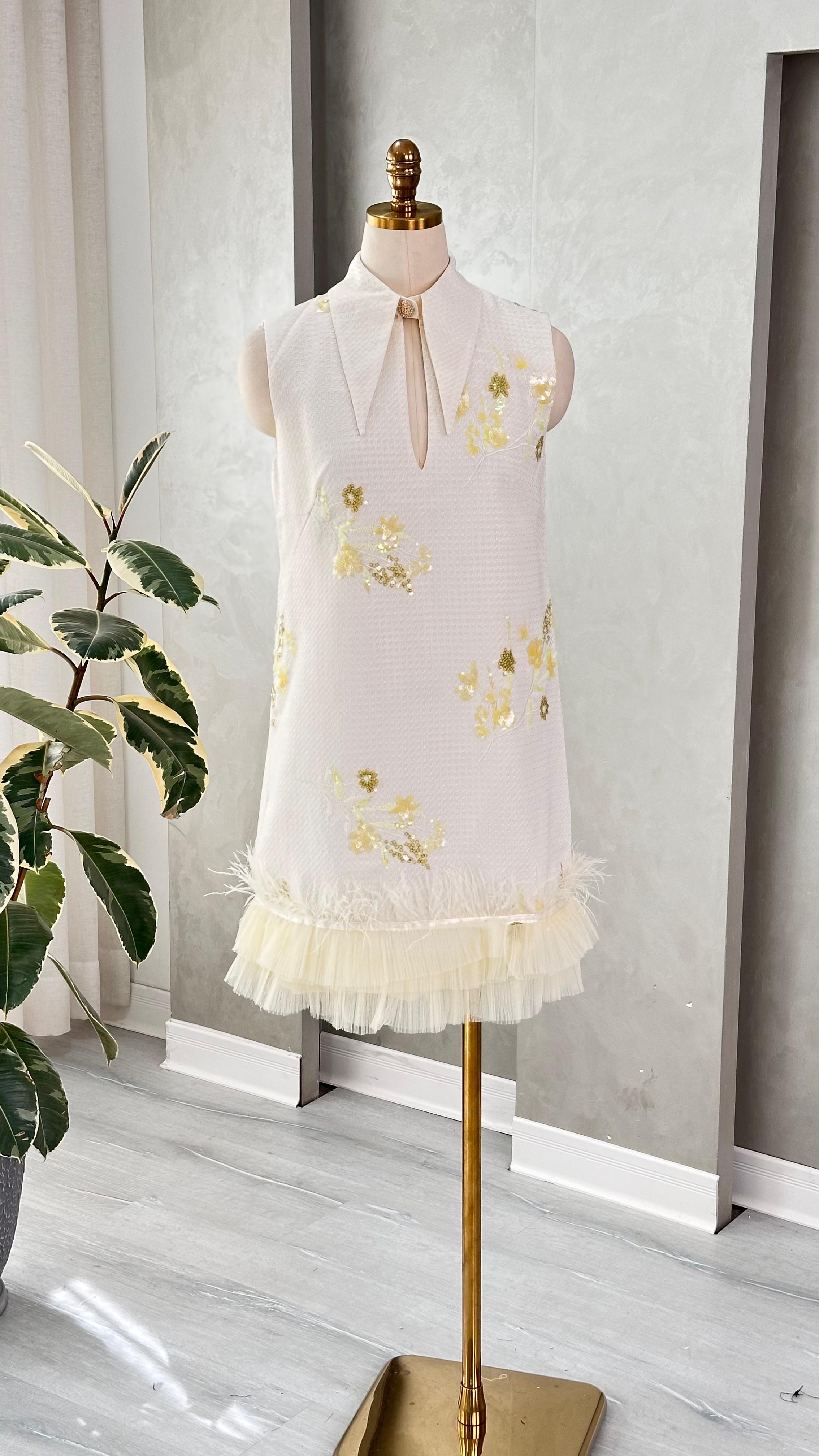 نص بديل للصورة