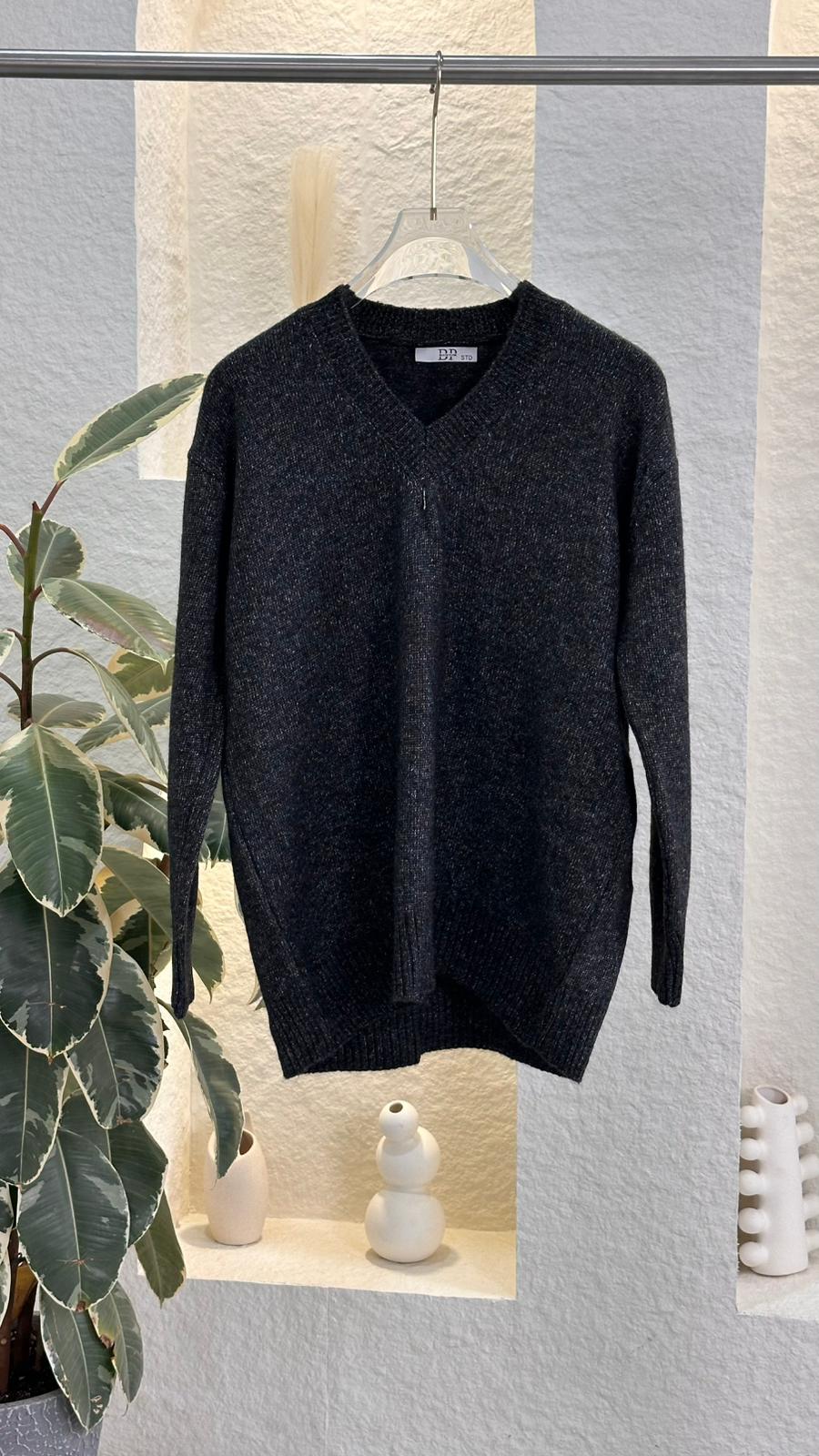 نص بديل للصورة