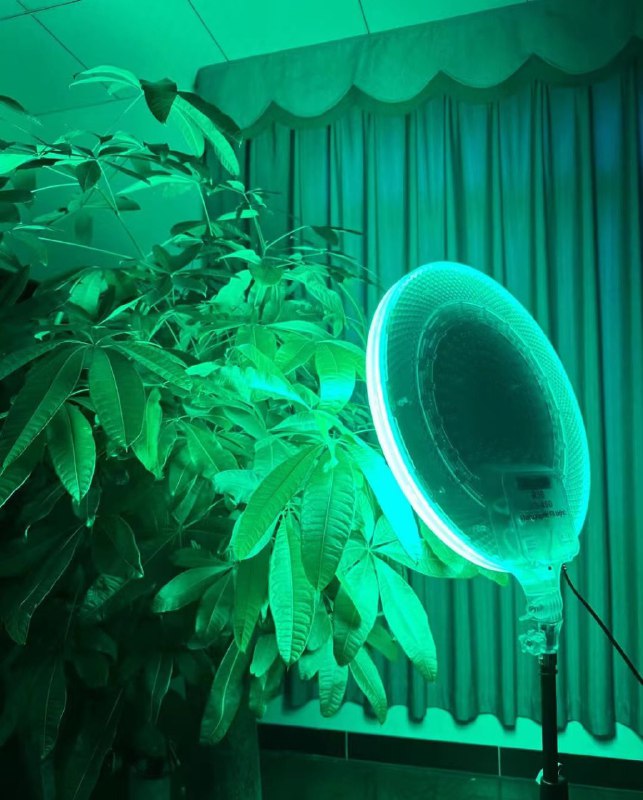 ضوء تعبئة LED RGB GS-450