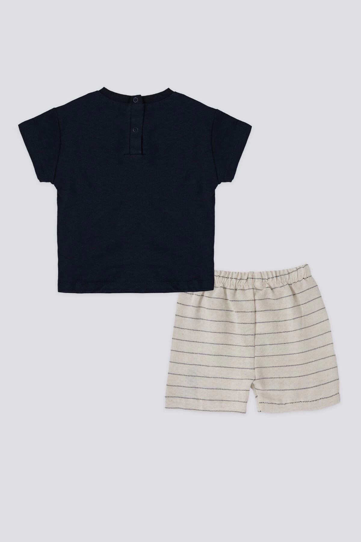 نص بديل للصورة