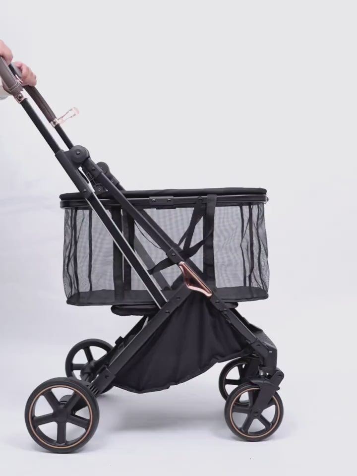 نص بديل للصورة