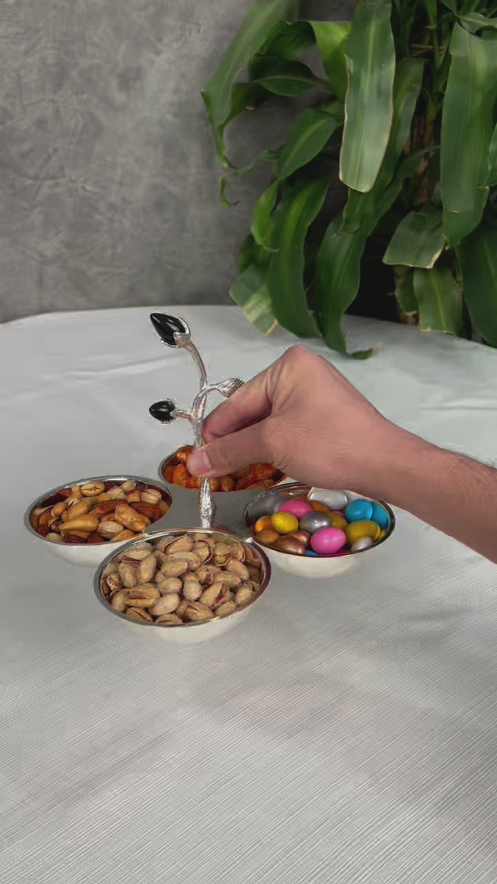 نص بديل للصورة