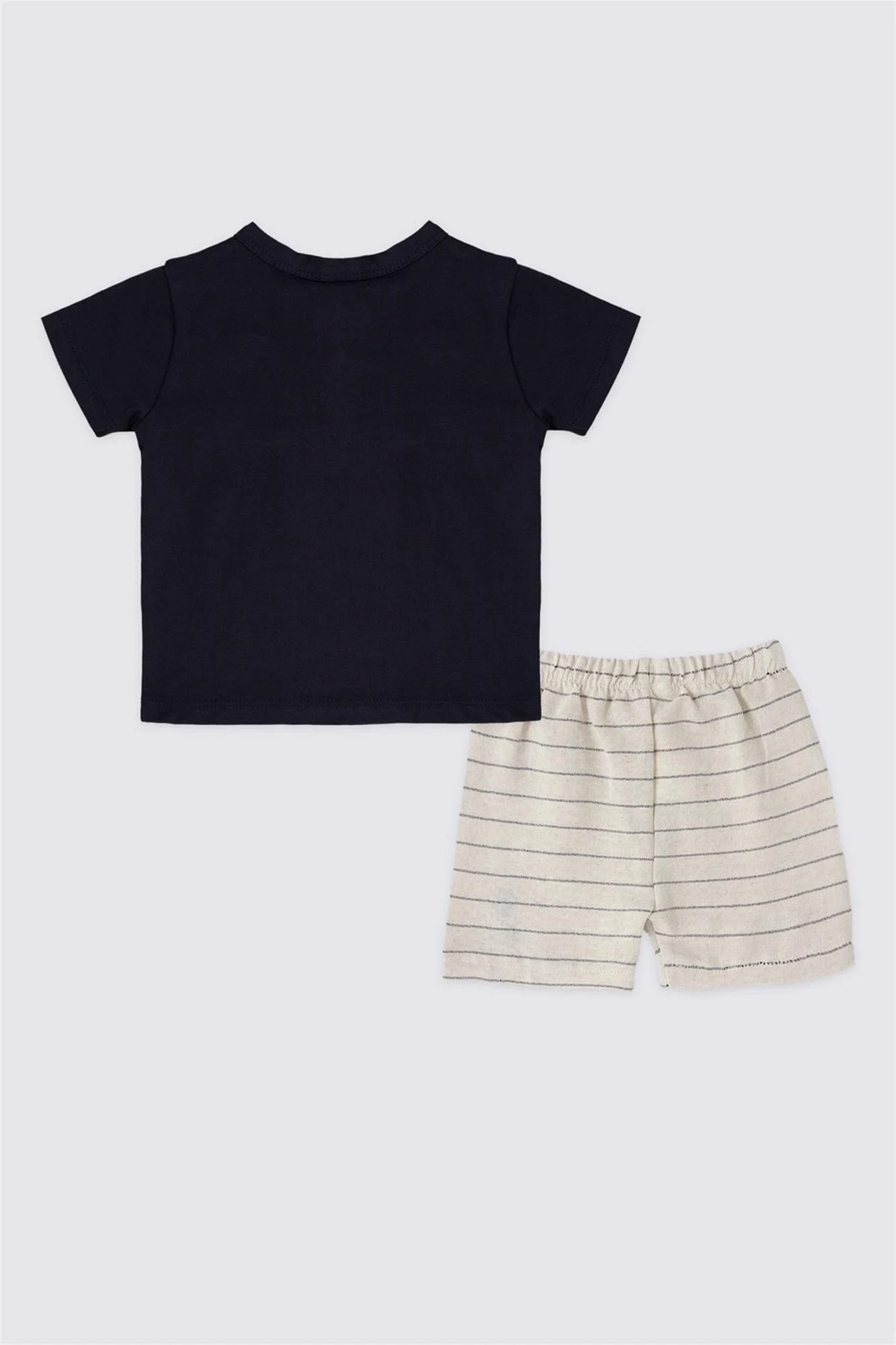 نص بديل للصورة