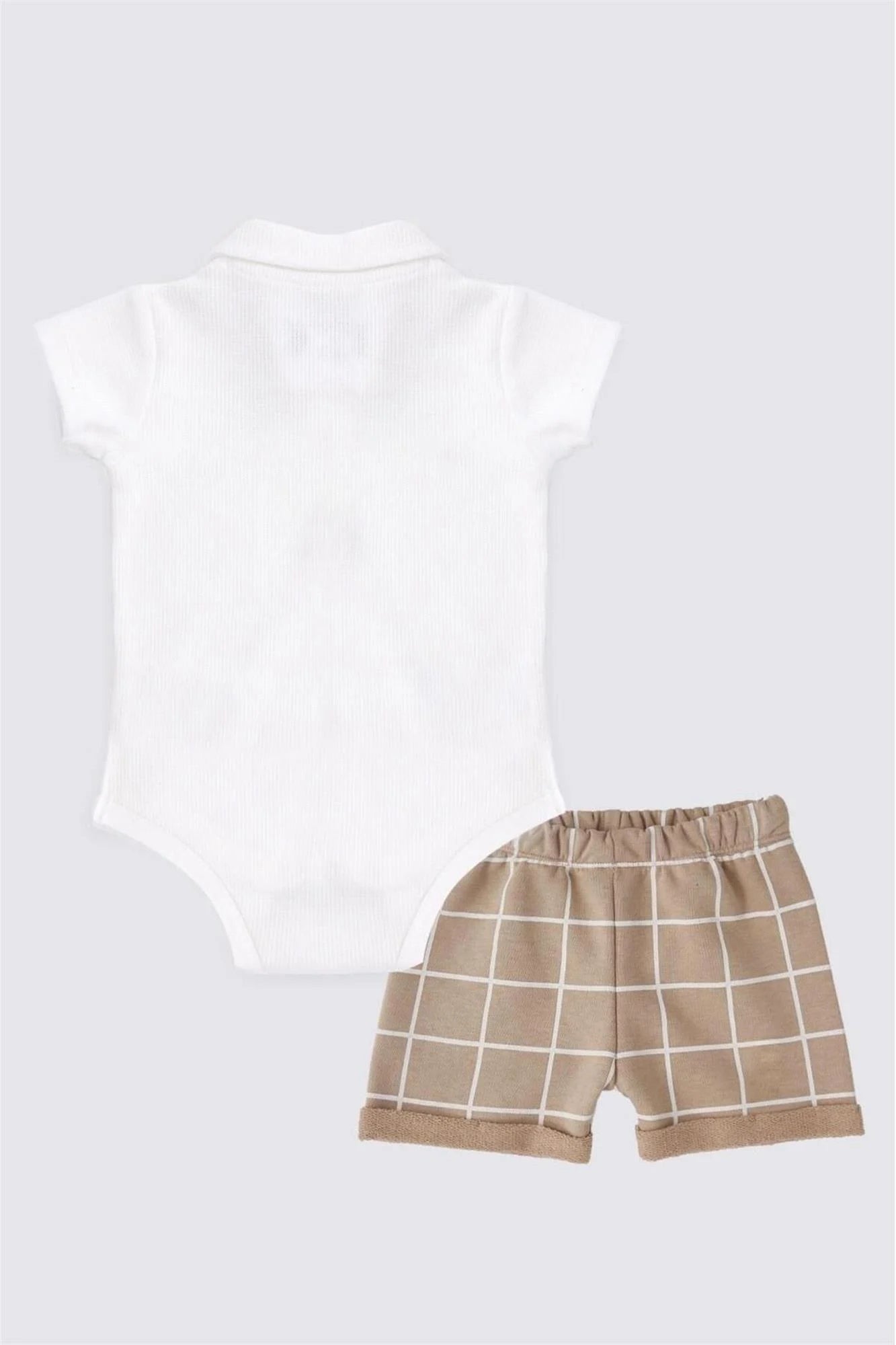 نص بديل للصورة