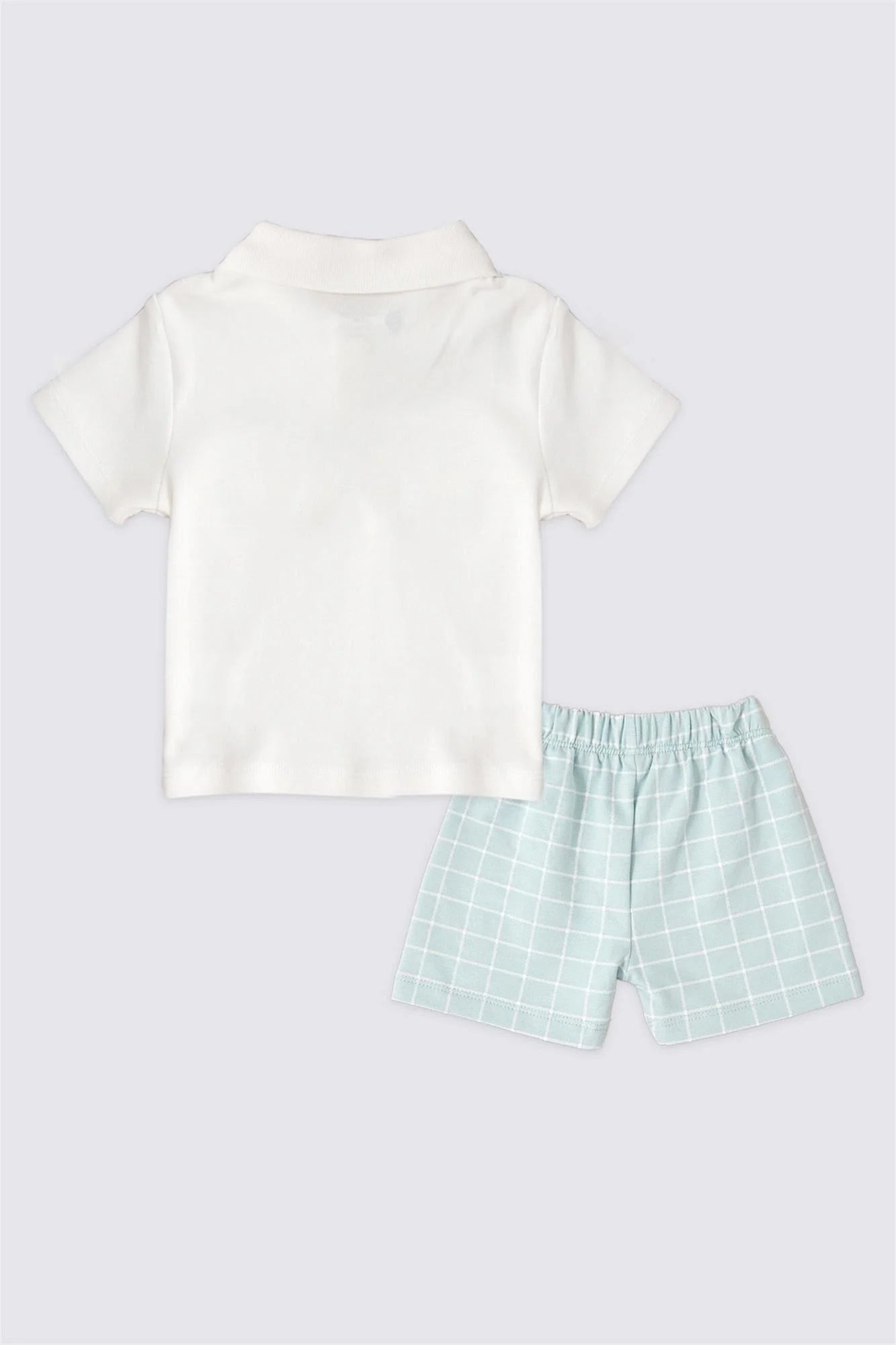 نص بديل للصورة